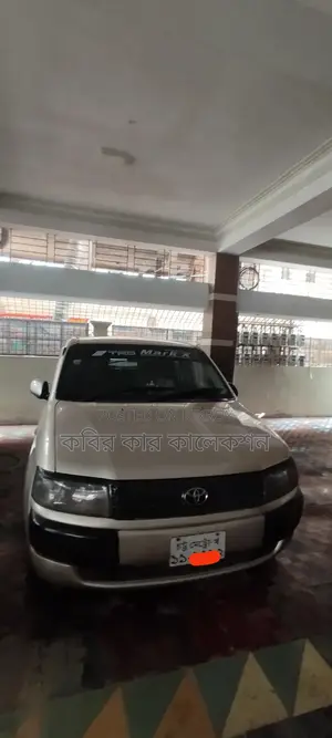Toyota Probox golden silver 2004