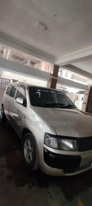 Toyota Probox golden silver 2004