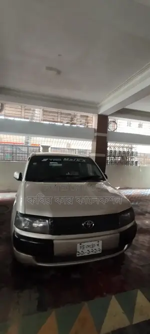 Toyota Probox golden silver 2004
