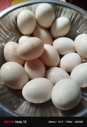অরিজিনাল দেশি মুরগির ডিম
