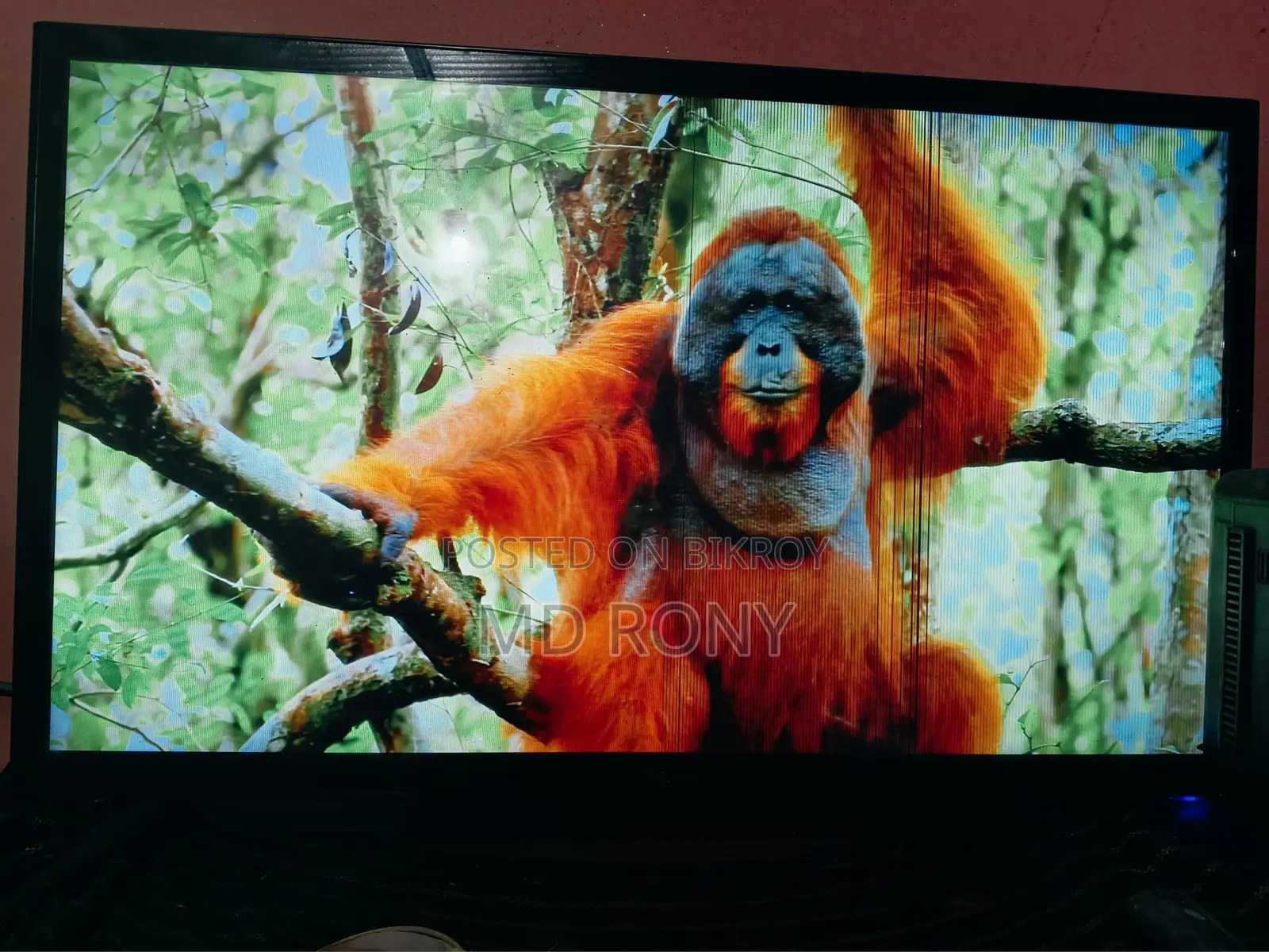 Sony LED TV