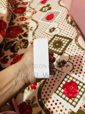 Apple Power Bank