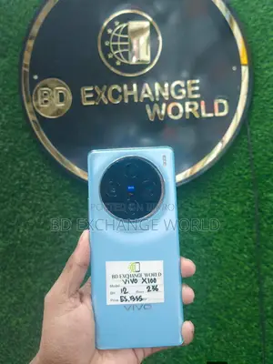 Vivo X100 (Used)