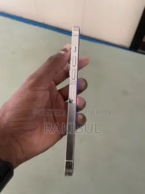 Apple iPhone 13 Pro Max . (Used)