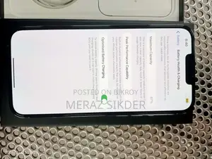 Apple iPhone 13 Pro Max (Used)