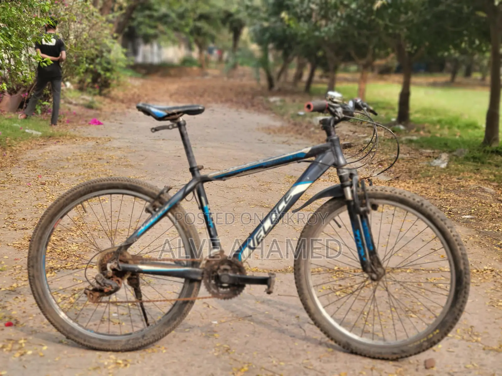 Veloce Bicycle for sale