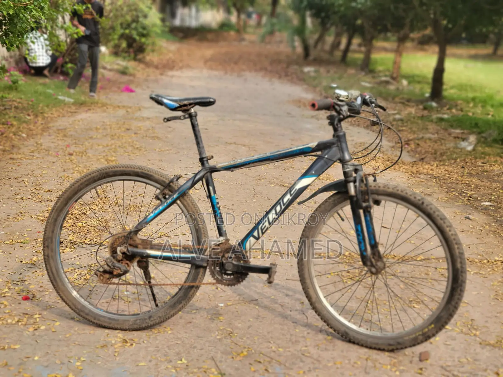 Veloce Bicycle for sale