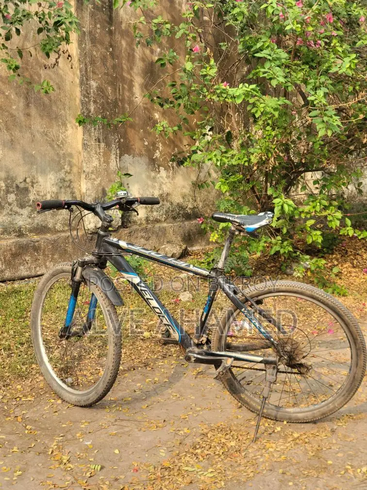 Veloce Bicycle for sale