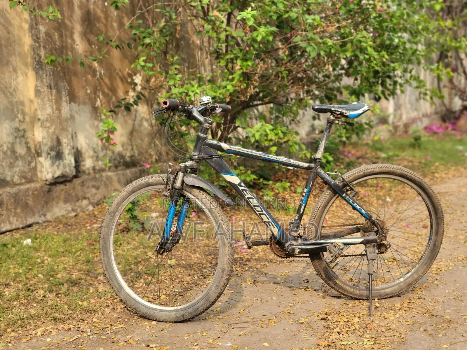 Veloce Bicycle for sale