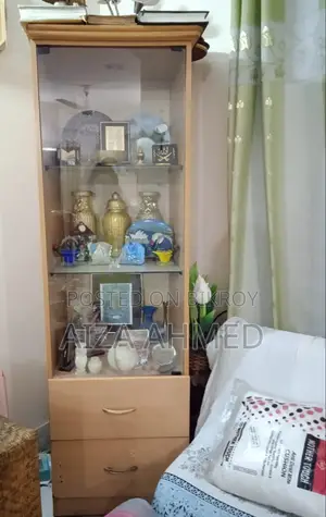 Corner Showcase/bookshelves