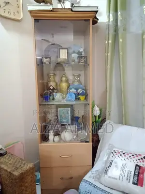 Corner Showcase/bookshelves