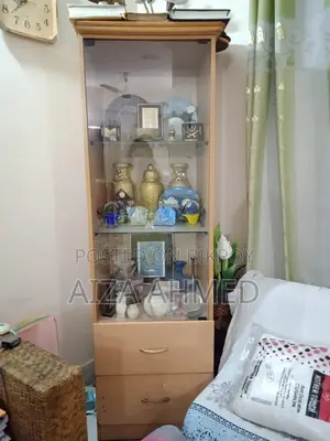 Corner Showcase/bookshelves