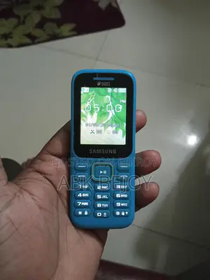 Samsung Guru Music 2 (Used)