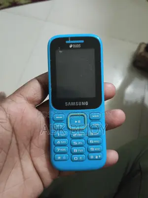 Samsung Guru Music 2 (Used)