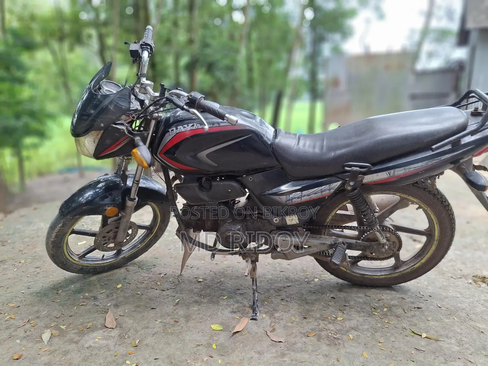 Zaara 100 . 2026
