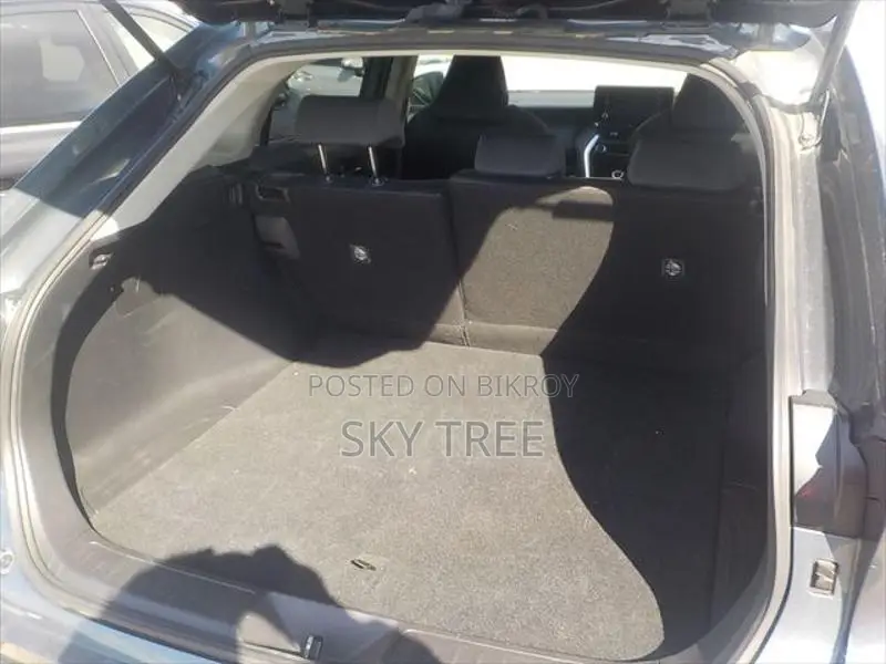 Toyota Harrier S- P-a-c-k-a-g-e 2022