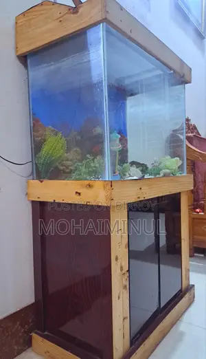 ২৪*১৬ একুরিয়াম + ডেকোরেশন