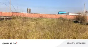 ৫ কাঠার প্লট বিক্রয় P ব্লক বসুন্ধরা আবাসিক ।