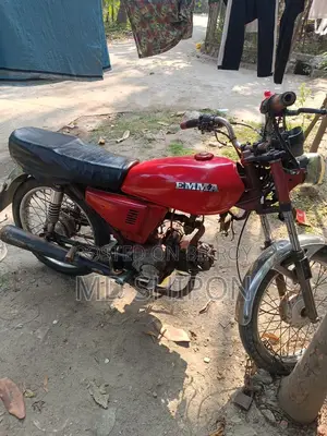 Emma LX100 . 1995