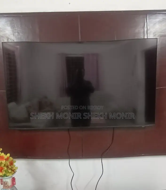 Sony 65" TV with broken display