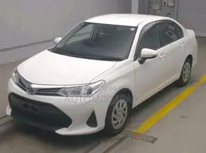 Toyota Axio EX 2020