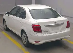 Toyota Axio EX 2020