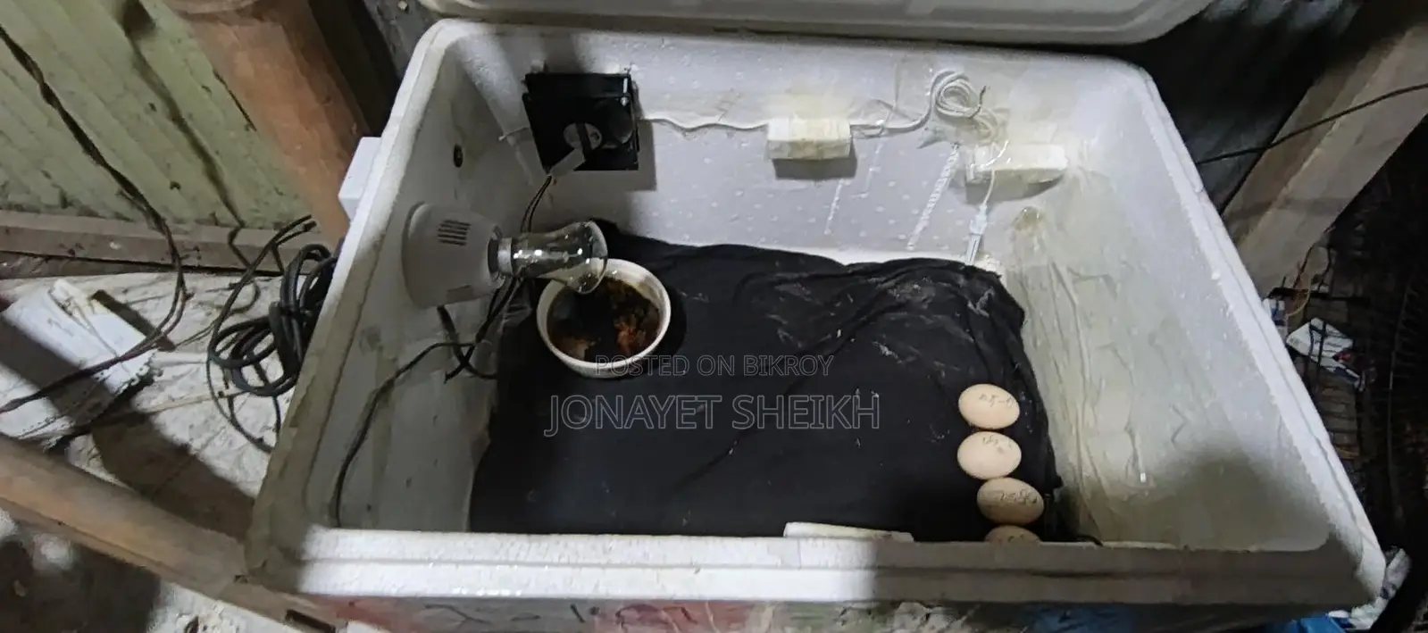 Incubator for Sale