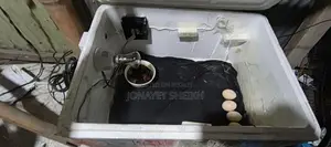 Incubator for Sale
