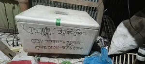 Incubator for Sale