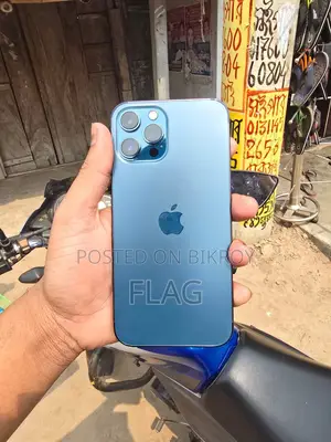 Apple iPhone 12 Pro Max (Used)
