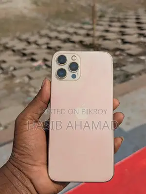 অ্যাপল আইফোন ১২ প্রো ম্যাক্স (ইউজড)