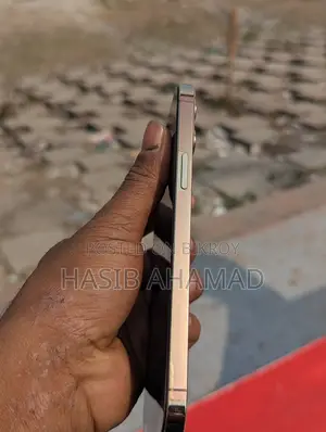 অ্যাপল আইফোন ১২ প্রো ম্যাক্স (ইউজড)