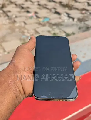 অ্যাপল আইফোন ১২ প্রো ম্যাক্স (ইউজড)