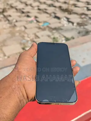 অ্যাপল আইফোন ১২ প্রো ম্যাক্স (ইউজড)