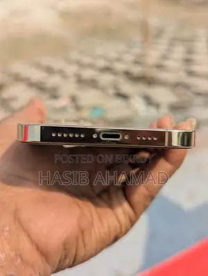 অ্যাপল আইফোন ১২ প্রো ম্যাক্স (ইউজড)