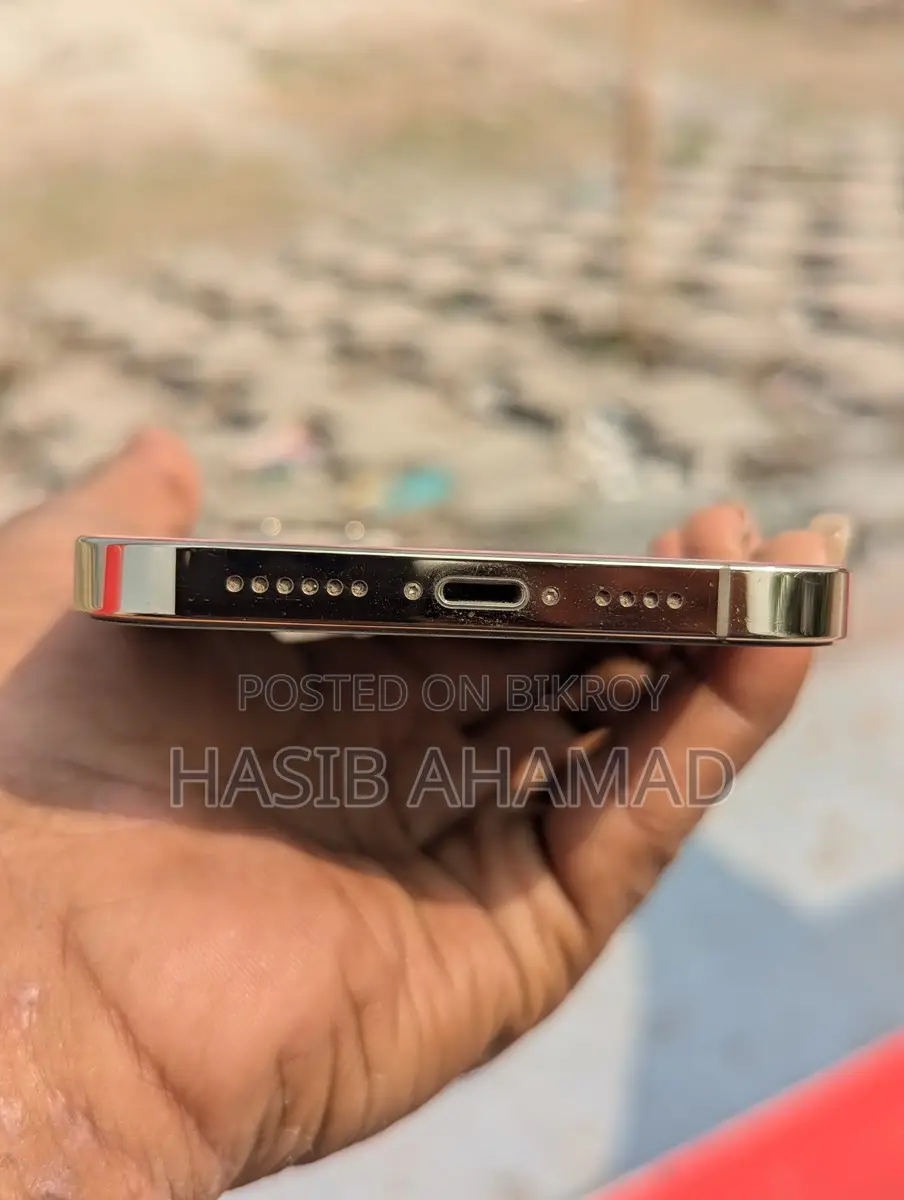 অ্যাপল আইফোন ১২ প্রো ম্যাক্স (ইউজড)