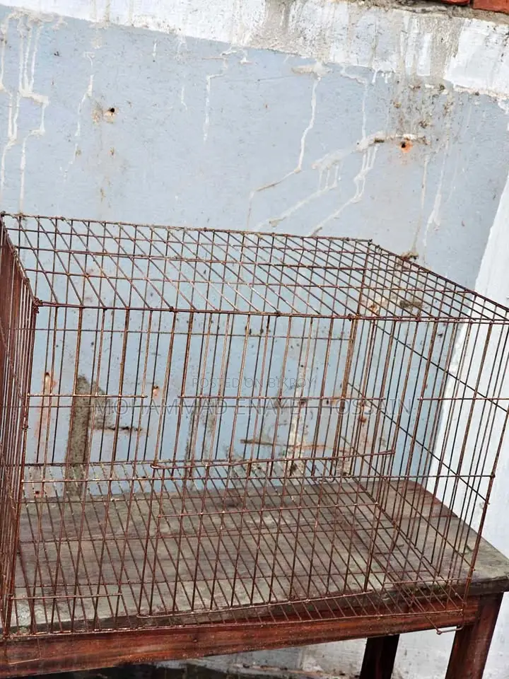 পাখির থাঁচা বিক্রি করা হবে