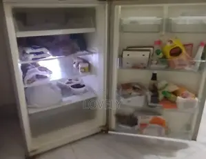 মিনিস্টার ফ্রিজ