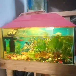 একুরিয়াম