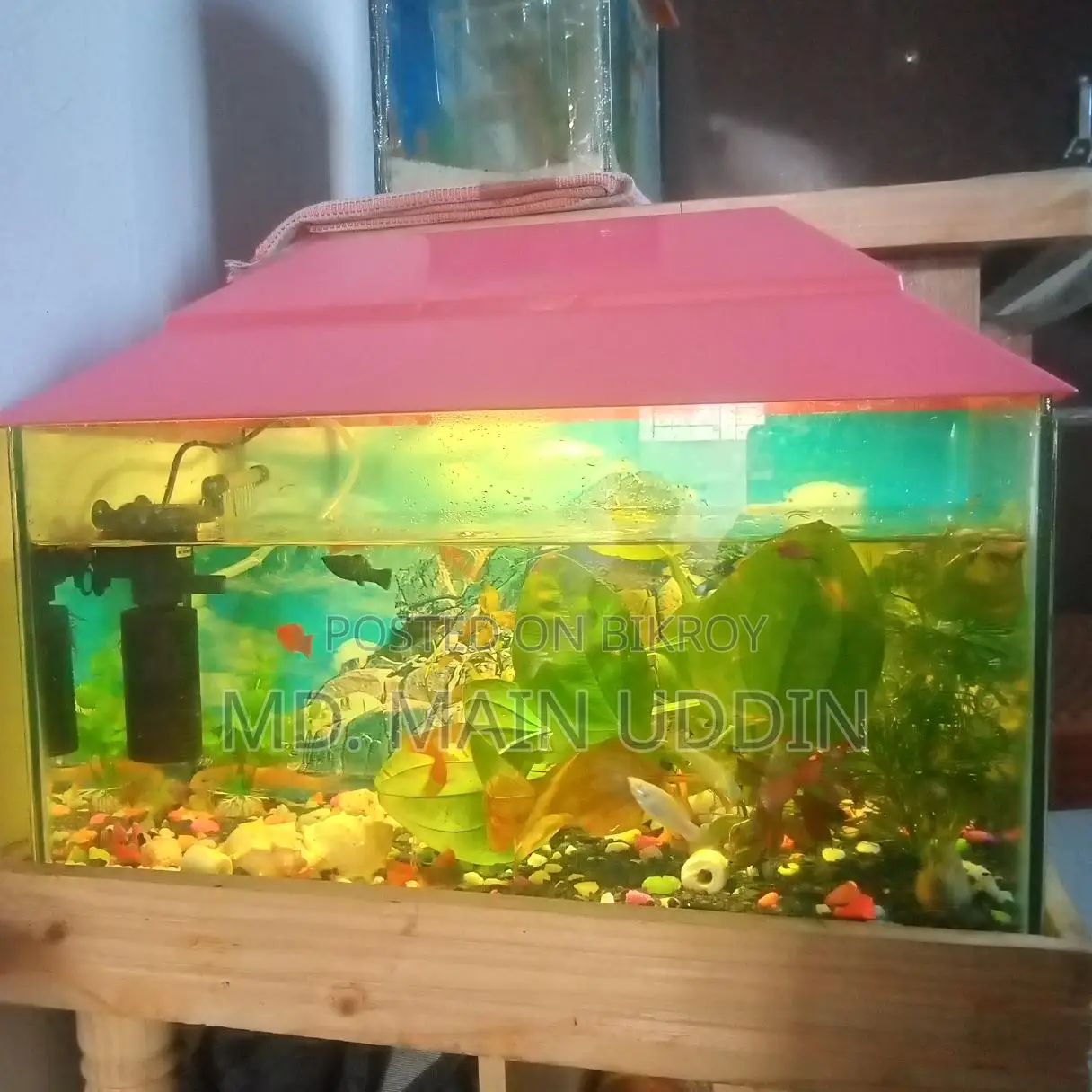 একুরিয়াম