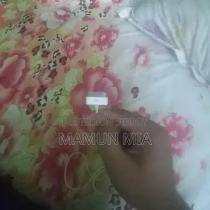Apple iPhone 4S charger Lightning