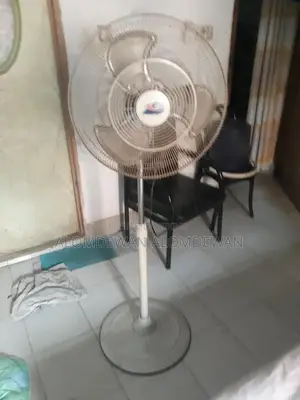 Stand Fan