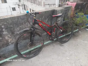 Finiss 24" Bicycle