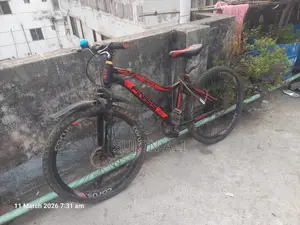 Finiss 24" Bicycle