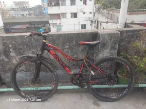 Finiss 24" Bicycle