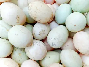 হাঁসের ডিম বিক্রি করা হবে