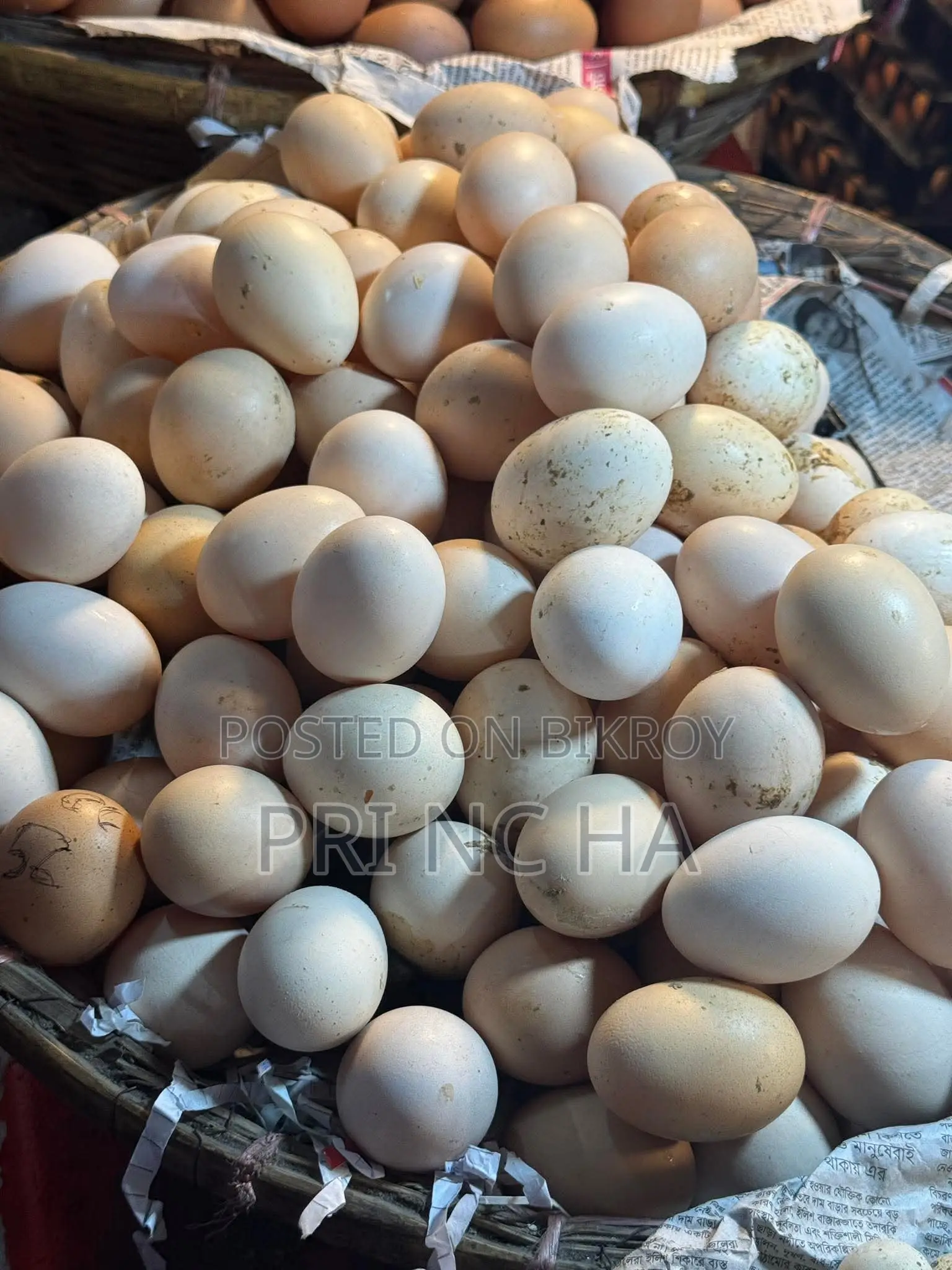 Duck eggs for sale