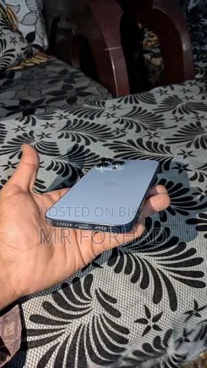 Apple iPhone 13 Pro Max 256GB (Used)