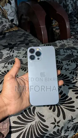 Apple iPhone 13 Pro Max 256GB (Used)