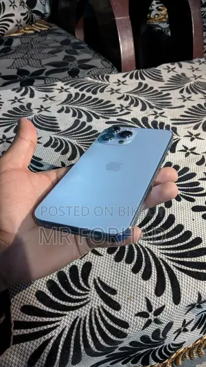 Apple iPhone 13 Pro Max 256GB (Used)